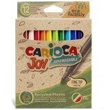 Carioca Flomasteri Joy Eco Family 12/1 Cene