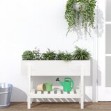 vidaXL Povišena vrtna gredica bijela 101 x 30 x 69 cm masivna borovina Cijene