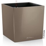 LECHUZA CUBE okrasni lonec komplet-set, taupe | Shoptok.si