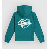 O'neill Essentials Script Kids Pulover s kapuco botanical heat | Shoptok.si