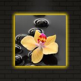 Wallity Slika sa LED osvetljenjem 4040DACT-5, 40x40 cm | ePonuda.com