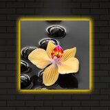 Wallity Zidna slika sa LED osvetljenjem 4040DACT-5, 40x40 cm | Eponuda.ba