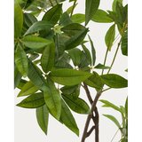 Kave Home Umjetna biljka (visina 180 cm) Pachira – | shoptok.hr