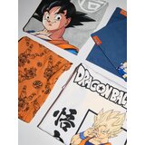 Sinsay Komplet dvodijelne pidžame Dragonball | shoptok.hr