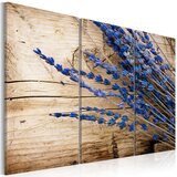  Slika - Lavander 90x60 Cijene