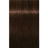 Schwarzkopf igora Royal - 4-6 srednje rjava čokoladna, 60 ml | Shoptok.si