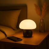Brilliant LED prigušiva punjiva stolna lampa DUPIS LED/2W/5V 2700K crna | Eponuda.com