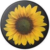 KS popsockets držalo / stojalo popgrip seed money | Shoptok.si