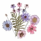  Papirno cveće Pink Lavender - set 12 kom Cene