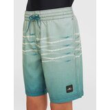 O'neill Print Kids Boardshorts boys coral heritage f f Cene