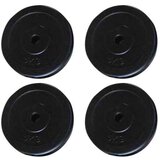 vidaXL Uteži 4 kosi 20 kg | Shoptok.si