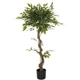 MID.YOU Umetna Rastlina Ficus I | Shoptok.si