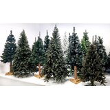  Ct0149 smreka pe 100% premium 200 cm Slike