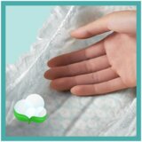 Pampers Active Baby Maxi Pack Plus | shoptok.hr