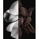 Givenchy Muški parfem Gentleman Boisee EDP, 100 ml | Eponuda.com