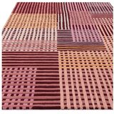 Asiatic Carpets Ručno rađen vunen tepih 120x170 cm – | shoptok.hr