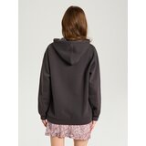 Sinsay Jednostavna bluza s kapuljačom basic | shoptok.hr
