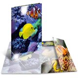 Herma Mapa z elastiko A4 PP, Glossy Riba Cene