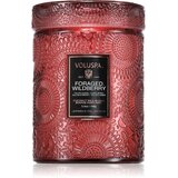 VOLUSPA Japonica Foraged Wildberry dišeča sveča 156 g | Shoptok.si