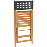 vidaXL 3-dijelni bistro set od poliratana i masivnog drva crni | shoptok.hr