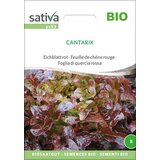 Sativa Bio listnata solata rdeča "Cantarix" Cene
