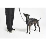 MiaCara Bež oprsnica velikosti L dolžina 42 cm Modena Greige L – | Shoptok.si