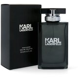 Karl Lagerfeld For Him toaletna voda 100 ml za moške Cene