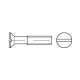 Toolcraft TO-5450301 upušteni vijci M10 20 mm utor DIN 963 mjed 100 St. | shoptok.hr