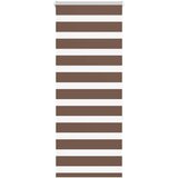 vidaXL Zebra zavesa rjava 55x150 cm širina blaga 50,9 cm poliester, (5000297562) | Shoptok.si