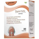 Biotrex nutraceuticals THYREX FORTE, 30 kapsula | Eponuda.com