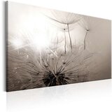  Slika - Beautiful Summer: Dandelions 120x80 Cijene