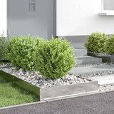  Ograda oko Travnjaka 6 pcs Srebrno 60 x 60 x 13 cm | shoptok.hr