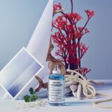 Maison Margiela REPLICA Sailing Day toaletna voda uniseks 100 ml | Shoptok.si