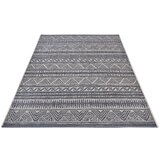 Hanse Home Sivi vanjski tepih 76x150 cm Clyde Loto – | shoptok.hr