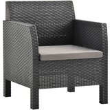 The Living Store Vrtni stol z blazino PP ratan antraciten - Vrtni Stol, (21475015) Cene