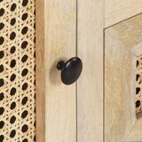 vidaXL TV omarica 120x30x40 cm trden mangov les in naravni trst | Shoptok.si