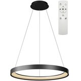 Top Light luster na sajli orbit LED/40W/230V 3000-6500K Ø50 cm crna + daljinski upravljač | Eponuda.com