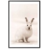  Plakat - Fearful Look 60x90 Crni okvir s margom | shoptok.hr