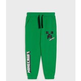 Sinsay Jogger donji dio trenirke Minecraft | shoptok.hr