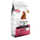 Schesir Dog Dry Medium/Large Maintenance sa šunkom - 12 kg | shoptok.hr