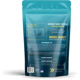 WORKOUT Whey Protein Creamy Vanilla 450g | Eponuda.com