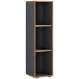 MID.YOU Pisarniški Regal Salia B30, Antracit, Barva Hrasta | Shoptok.si