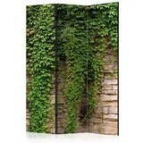  Paravan u 3 dijela - Ivy wall [Room Dividers] 135x172 Cijene