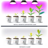  LED sijalica za rast biljaka VITABLOOM E27/9W/230V 1200K crna - Brilagi | Eponuda.com