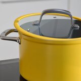 FABINI Aluminijast lonec s pokrovko in neprijemljivo površino za indukcijsko ploščo 5,5 l Meda 3.0 – | Shoptok.si