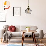 Rabalux parov, unutrašnja metal visilica lampa , E27 1xMAX 40W | Eponuda.com