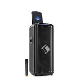 Auna Moving 2100, PA sistem, 2x10 "nizkotonski zvočnik, 100/300 W, UHF mikrofon, USB, SD, BT, AUX, prenosni | Shoptok.si