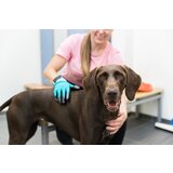 Trixie Četka rukavice par za pse | Eponuda.com