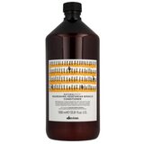 DAVINES NaturalTech Nourishing Vegetarian Miracle Conditioner 1000 ml balzam za lase tanki lasje šibki in oslabljeni lasje suhi lasje unisex Cene
