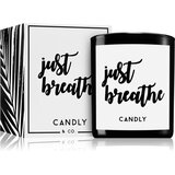 Candly & Co. Just Breathe dišeča sveča 250 g | Shoptok.si